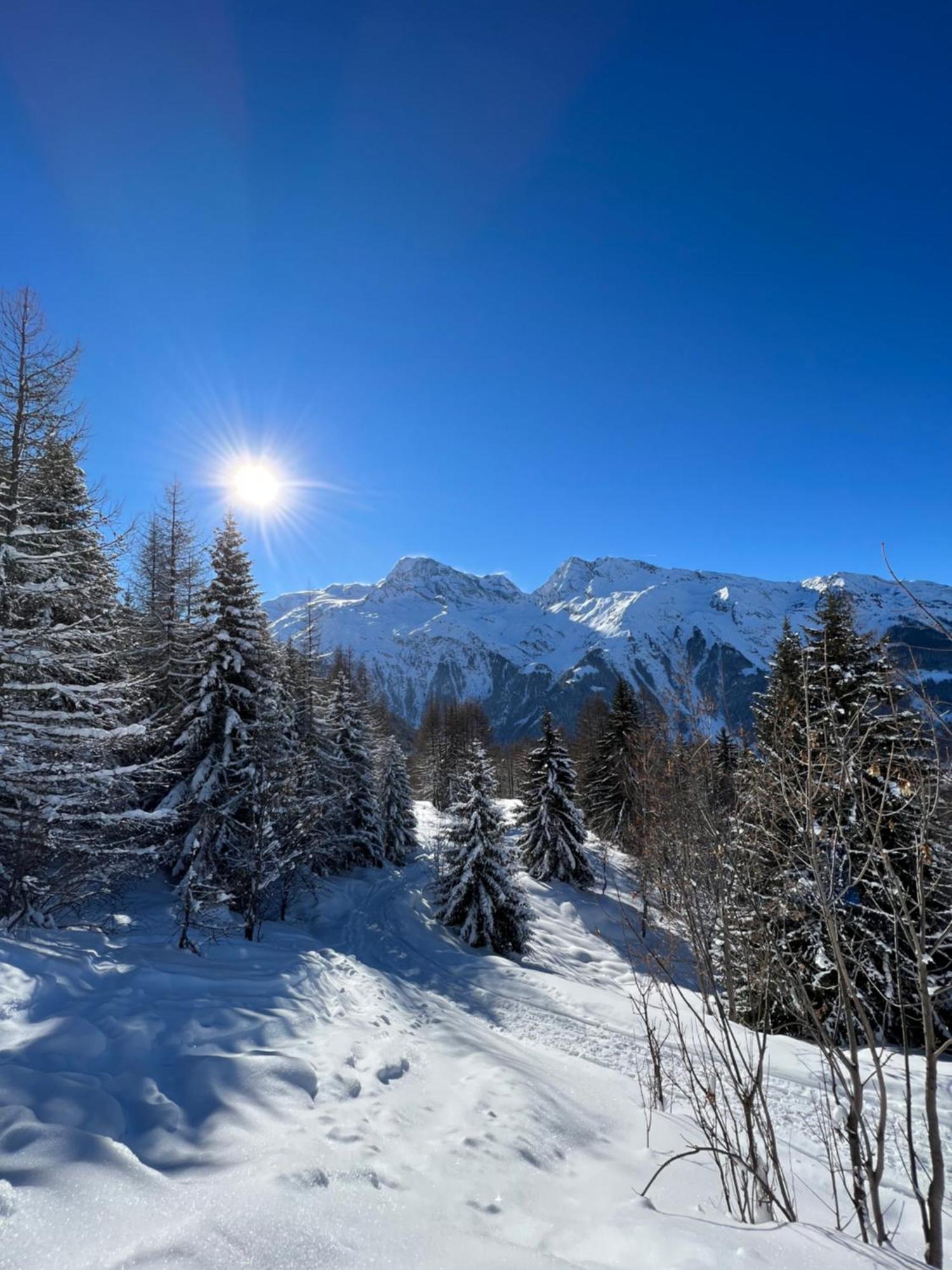 Chalet Altus サント・フォア・タロンテーズ エクステリア 写真