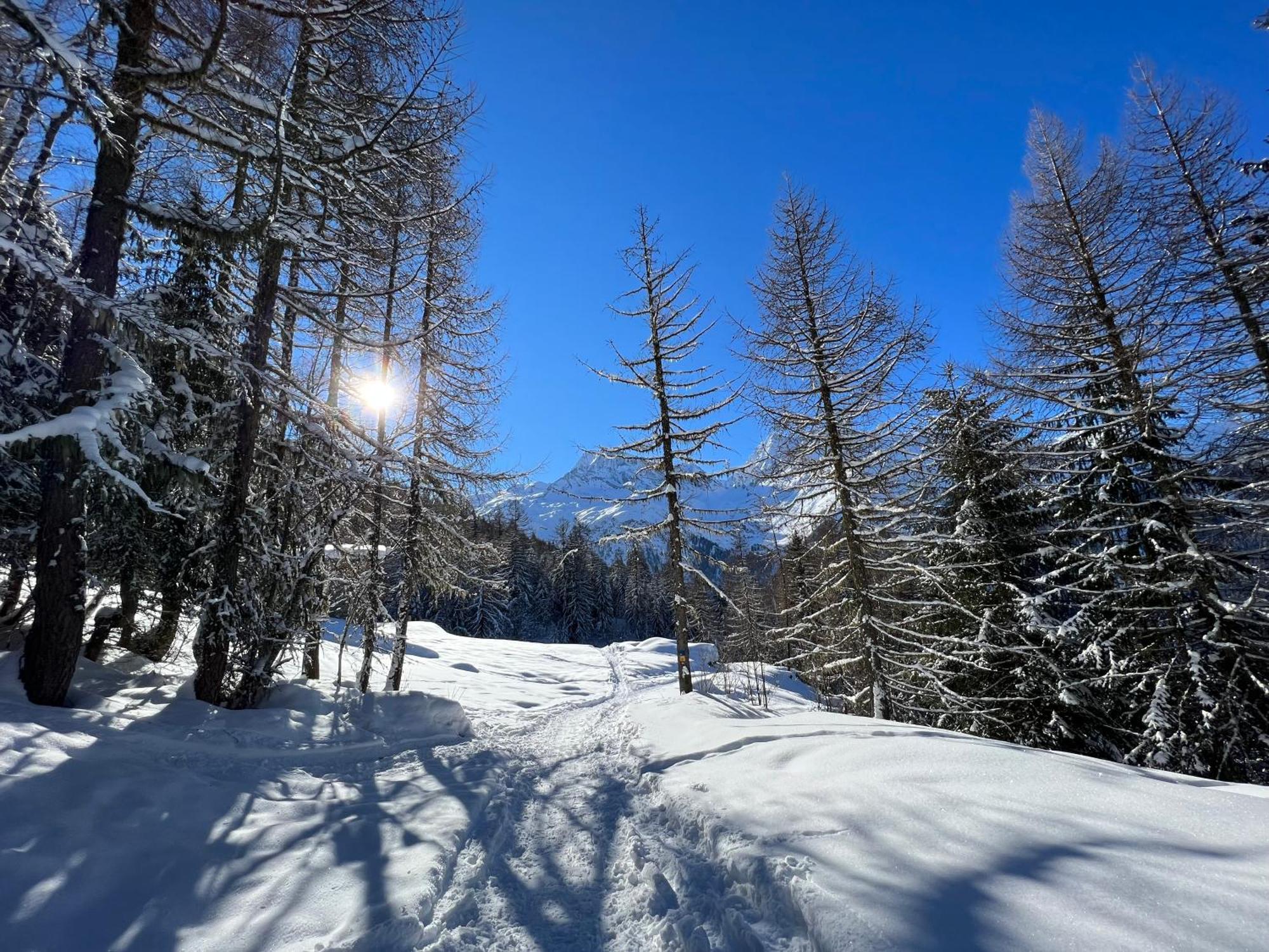 Chalet Altus サント・フォア・タロンテーズ エクステリア 写真